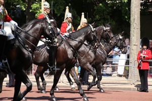Trooping The Colour Queen´s Guards